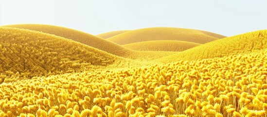 Poster - Summer yellow soybean field. Copy space image. Place for adding text and design