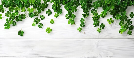 St Patrick s Day Ornamental green clover leaves on a white wooden table seen from above Area for text. Copy space image. Place for adding text and design