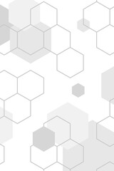 Wall Mural - gray hexagon pattern design element