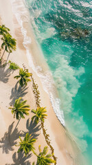 Wall Mural - Bird's eye view of beautiful tropical beach with white sand