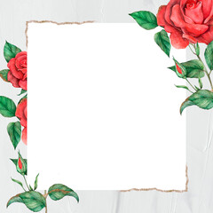 Wall Mural - Blooming rose border frame png transparent background