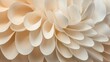 © Zaleman - Flower petal abstract, beige transparent leaves as natural background or wallpaper. Macro texture, neutral color aesthetic photo with veins of leaf.