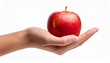 © Gianpietro - hand holding Red Apple Isolated on White Background
