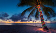 © K KStock - Palm tree decorated in colorful christmas lights on tropical beach at sunset with copy space