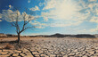 © K KStock - dry cracked earth with dead tree in drought stricken landscape