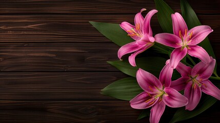 Wall Mural - Pink Lilies on Wooden Background