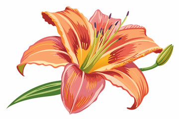 Sticker - Daylily flower, watercolor clipart illustration with isolated background.
