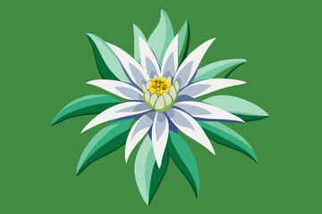 Sticker - Edelweiss, watercolor clipart illustration with isolated background.
