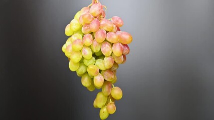 Wall Mural - bunch of grapes