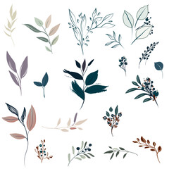 Poster - Set of vector abstract floral foliage isolated on white background