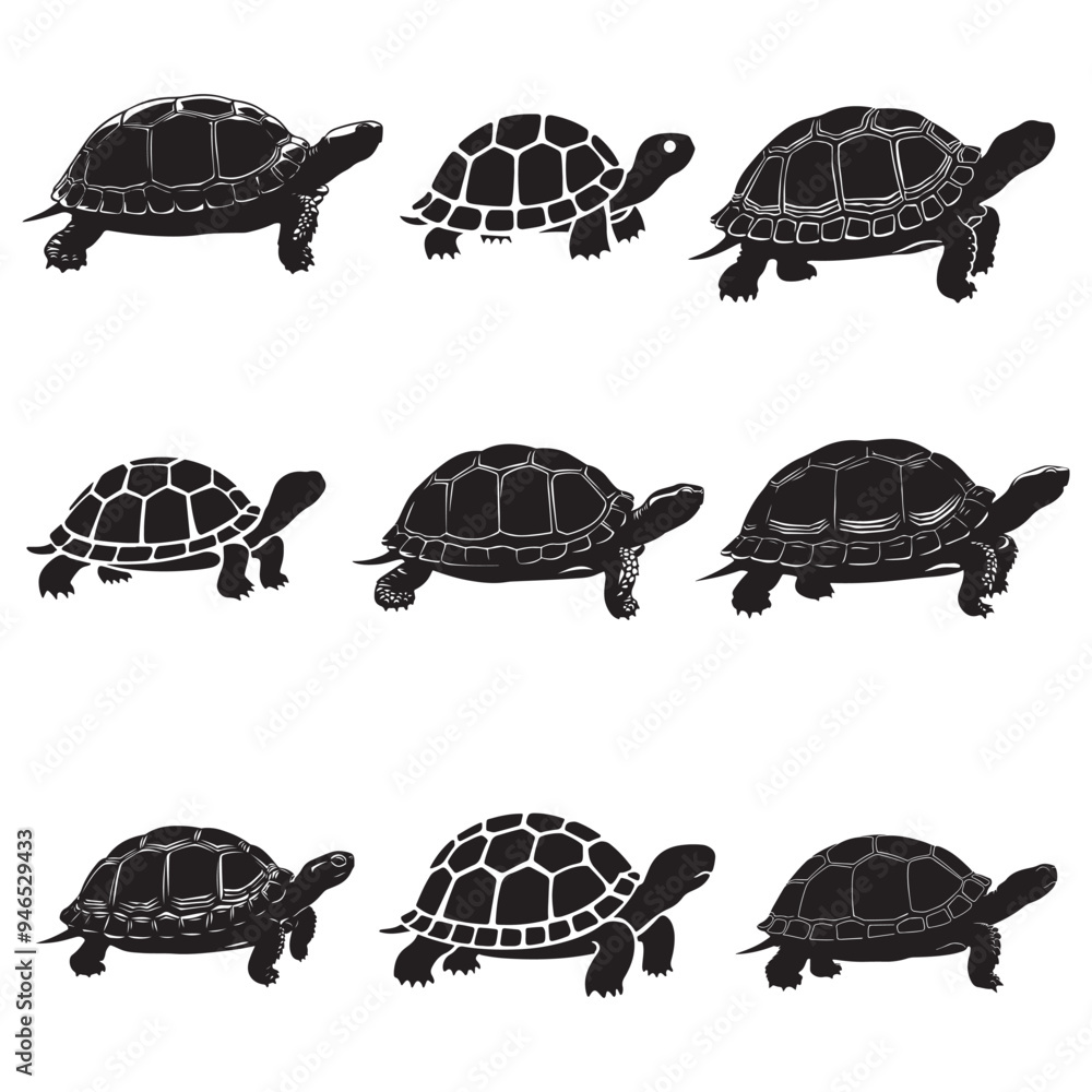 Turtle Vector Silhouette, Aldabra Giant Tortoise silhouettes and icons ...