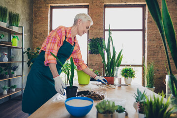 Sticker - Photo portrait of lovely pensioner lady florist houseplant transplantation wear apron working flower shop studio small business