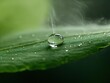 © cochisevisuals - A single dewdrop sits on a green leaf, with a wisp of vapor rising from its surface.