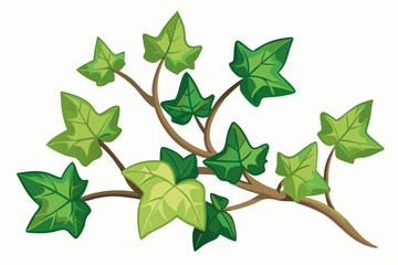 Wall Mural - Ivy, watercolor clipart illustration with isolated background.
