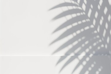 Sticker - Tropical palm frond shadow cast on white background