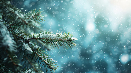 Aufkleber - Snow falling on a pine tree branch during a magical winter day with turquoise blue copy space