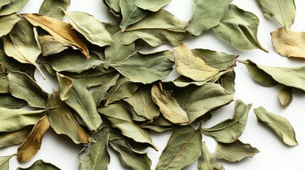 Close-up of dried curry leaves spread out on a white surface, highlighting their texture and detail, no people.