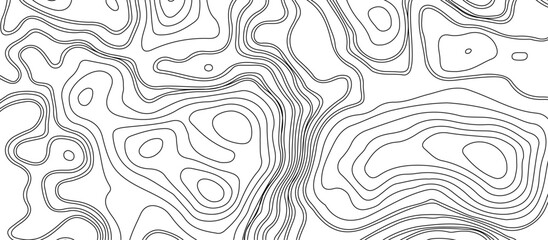 Transparent Topographic line map. Modern design with White background with topographic wavy pattern design, 