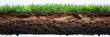 © Nima - A close-up cross-section of green grass and the layers of soil beneath it. The image symbolizes growth, nature, the interconnectedness of life, the importance of soil health, and the fragility of our