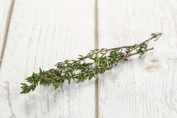 Wall Mural - Thyme - aromatic seasoning herbal plant