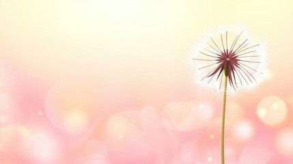 Poster -   A close-up of a dandelion on a vibrant pink and yellow backdrop, with the dandelion in sharp focus while the background remains blurry