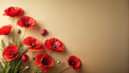 Wall Mural - Vibrant red poppies in a field