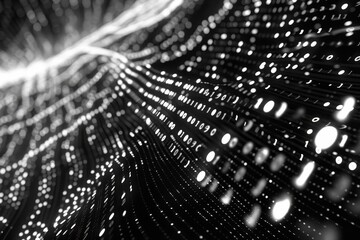 Poster - Coding skills are essential for function optimization