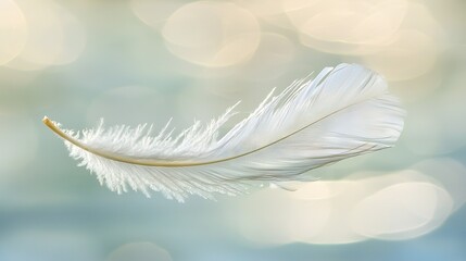 Canvas Print -   A white feather floats against a blurred blue and white backdrop with a halo of light behind it