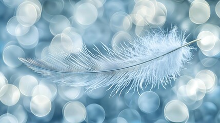   A white feather on a blue and white boke with blurry lights in the background