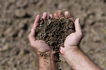 Wall Mural - Agriculture concept. Gardening season. Gardener hold fertile soil in hands. Farmer with soil for gardening in hands. Mud on field. Soil for growing plants. Soil texture background.