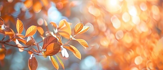 Poster - Golden Autumn Leaves with Sunlit Bokeh Background