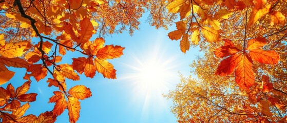 Autumn Leaves Against a Sunny Blue Sky