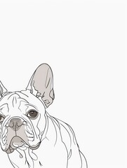 Wall Mural - Line Art French Bulldog Portrait.