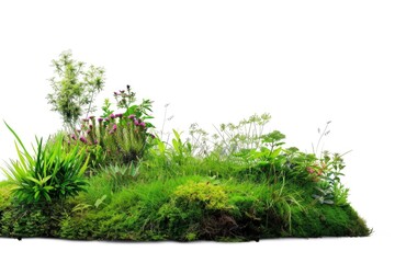 Wall Mural - A small section of grass with various plants growing on top