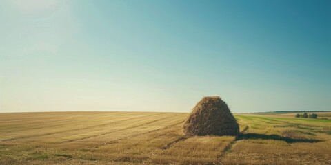 Sunny Summer Day Haystack on a Farm Field Top View Bird s Eye Landscape of Farm Land under Clear Blue Sky