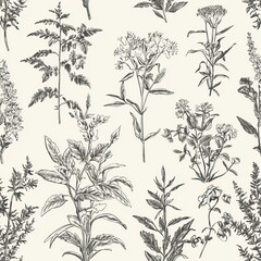 Wall Mural - seamless pattern of vintage botanical sketches with historical plant varieties