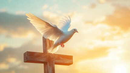 A white dove perched on a wooden cross with a sunset in the background