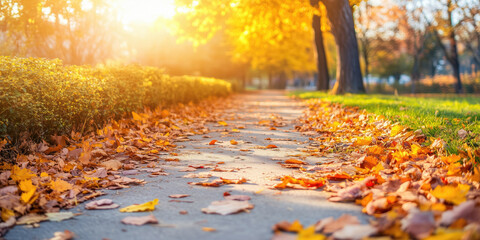 Wall Mural - Walkway in a park in autumn day