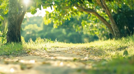 Wall Mural - Sunlight Through Trees in a Green Forest