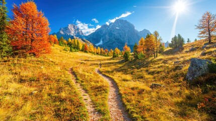 Sticker - Hiking Trail Through Autumnal Mountain Landscape with Sun Rays