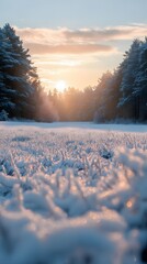 Poster - sunset in the snow