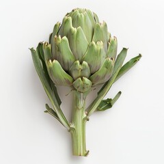 Wall Mural - A close-up photograph of an artichoke with its green leaves and fuzzy stem,