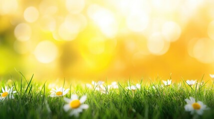 art abstract spring background or summer background with fresh grass