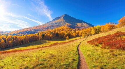 Poster - Autumn Mountain Path with Golden Trees and Blue Sky