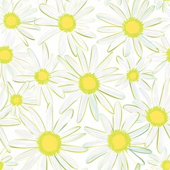 Wall Mural - Bright daisies with yellow centers on a light background evoke a fresh spring vibe.