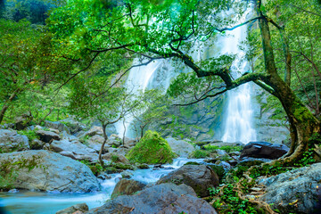 Poster - Landscape of Khlong Lan National Park