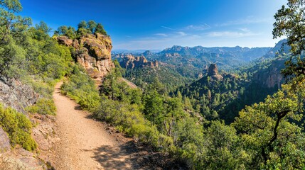 Canvas Print - Hiking Trail Through Mountainous Landscape with Rocks and Trees