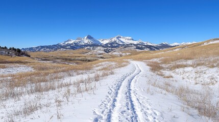 Poster - Snowy Path Leading to Mountain Peaks in Winter Landscape