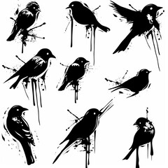 Wall Mural - Bird icon set, black and white silhouettes, sparrow symbols, bird sign collection, graffiti spray