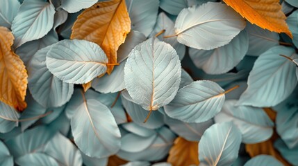 Wall Mural - Autumn Foliage Closeup: White Leaves Texture Background - Abstract Plant Nature for Fall